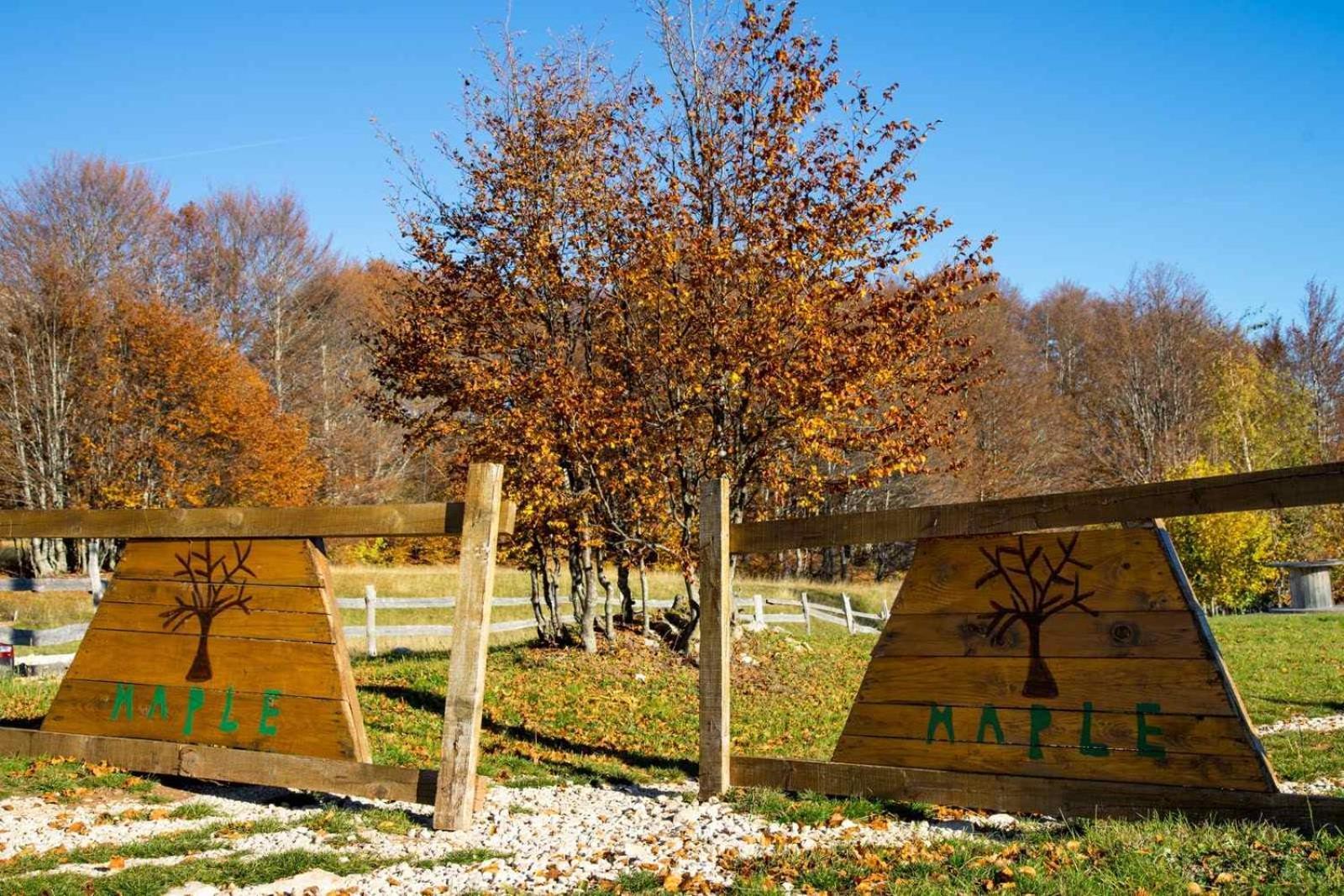 Maple Bungalows Žabljak Exterior foto